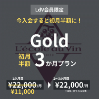 【LdV会員限定】初月半額3か月プラン/Gold