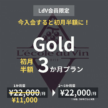 【LdV会員限定】初月半額3か月プラン/Gold
